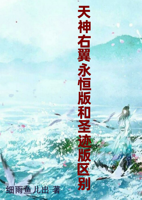 天神右翼永恒版和圣迹版区别