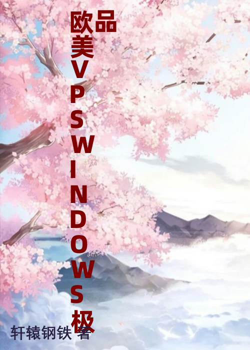 欧美VPSWINDOWS极品