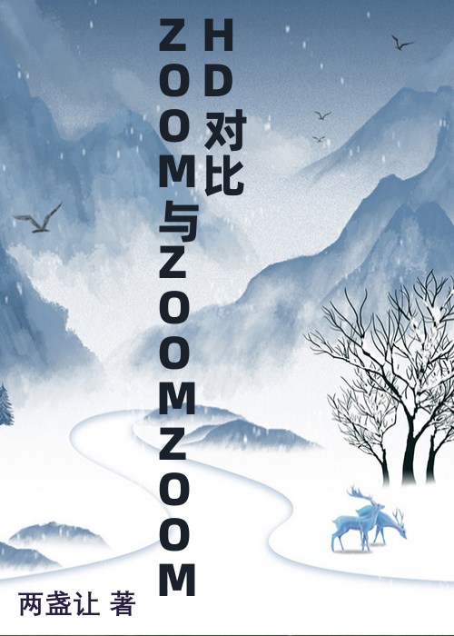 ZOOM与ZOOMZOOMHD对比