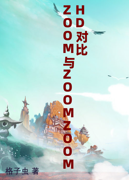 ZOOM与ZOOMZOOMHD对比