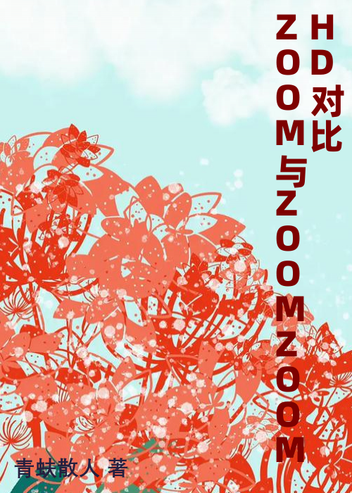 ZOOM与ZOOMZOOMHD对比